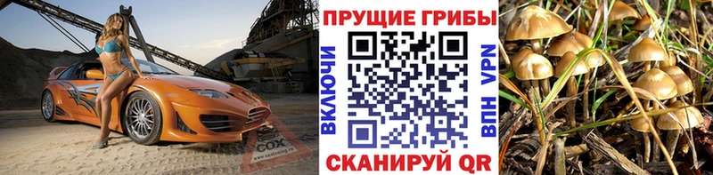 Псилоцибиновые грибы Magic Shrooms  Ленинск 